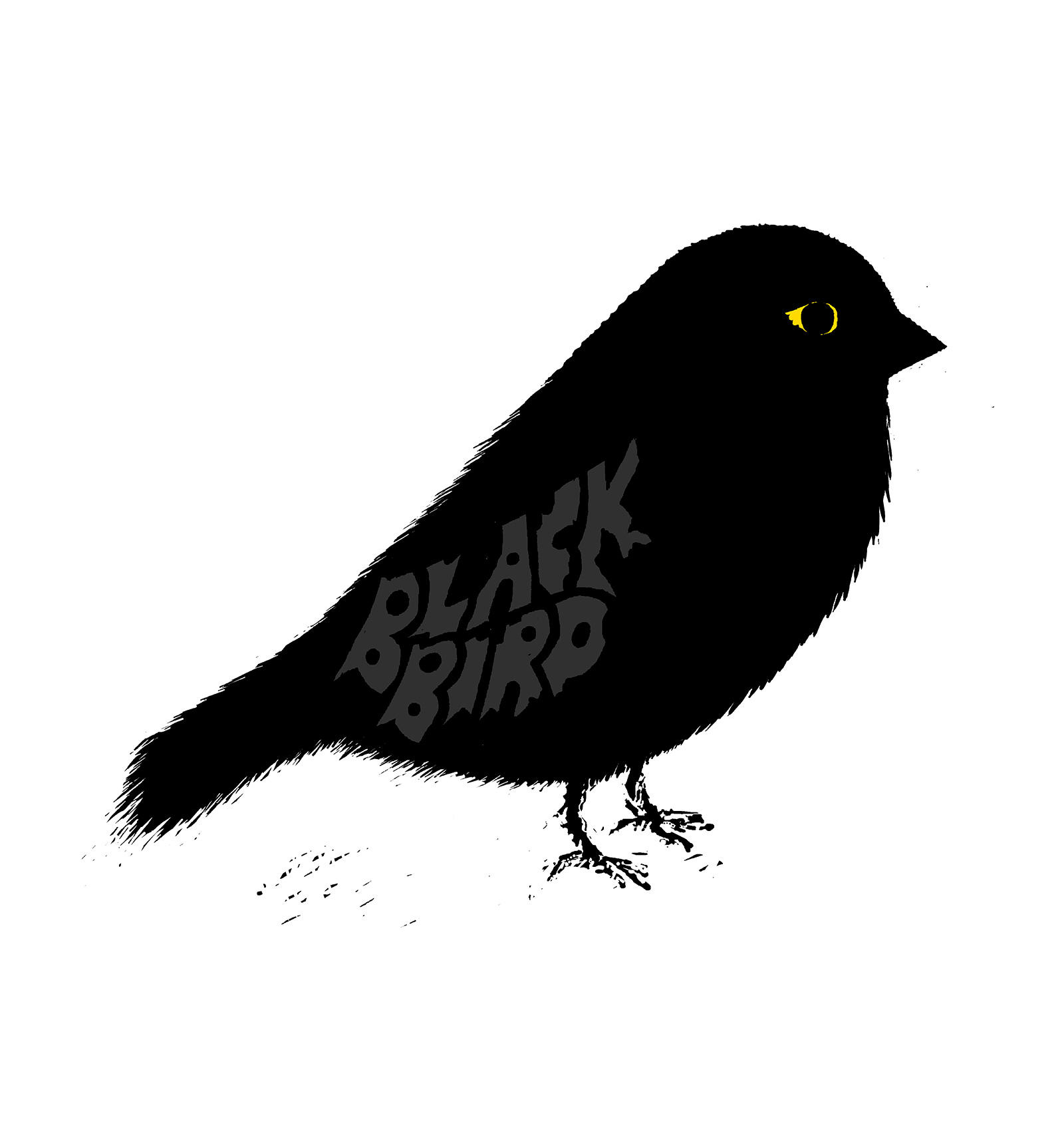 Black-Bird
